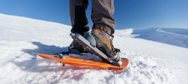 Passeggiata con le racchette da neve al picco Torres