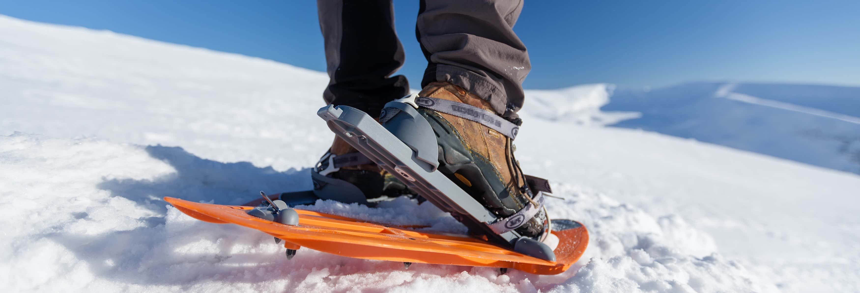 Torres Peak Snowshoe Hike