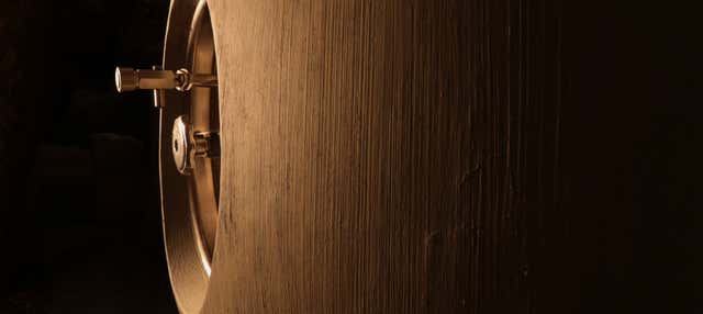 Visita alle Cantine Campo Elíseo