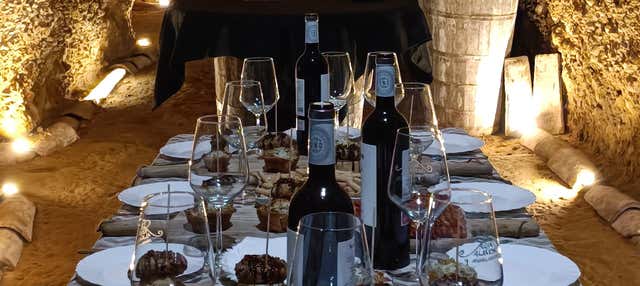 Visita alla cantina sotterranea Dorretxe + Degustazione di olio