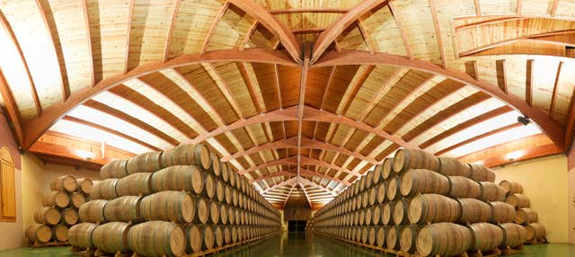 Visita all'azienda vinicola Campillo