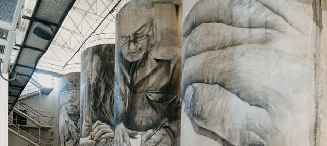 Visita alle cantine Solar de Samaniego