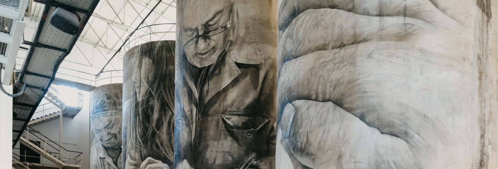 Visita alle cantine Solar de Samaniego