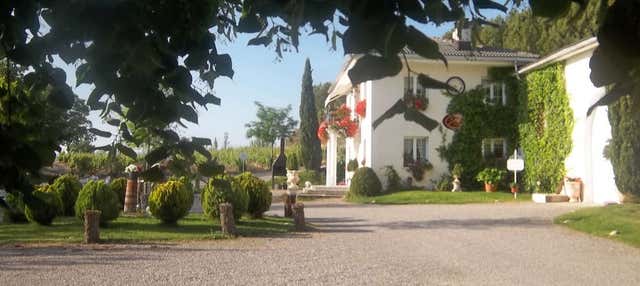 Visita della cantina Jilabá con degustazione di vino