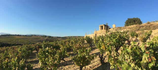 Visita delle cantine Loli Casado