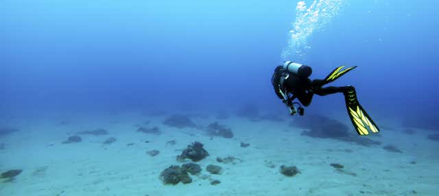 Immersione per principianti a Las Galletas