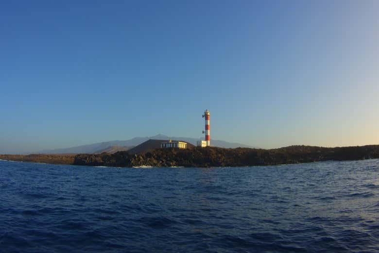 Imagen 3