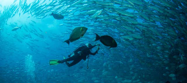Immersione per principianti a Las Negras