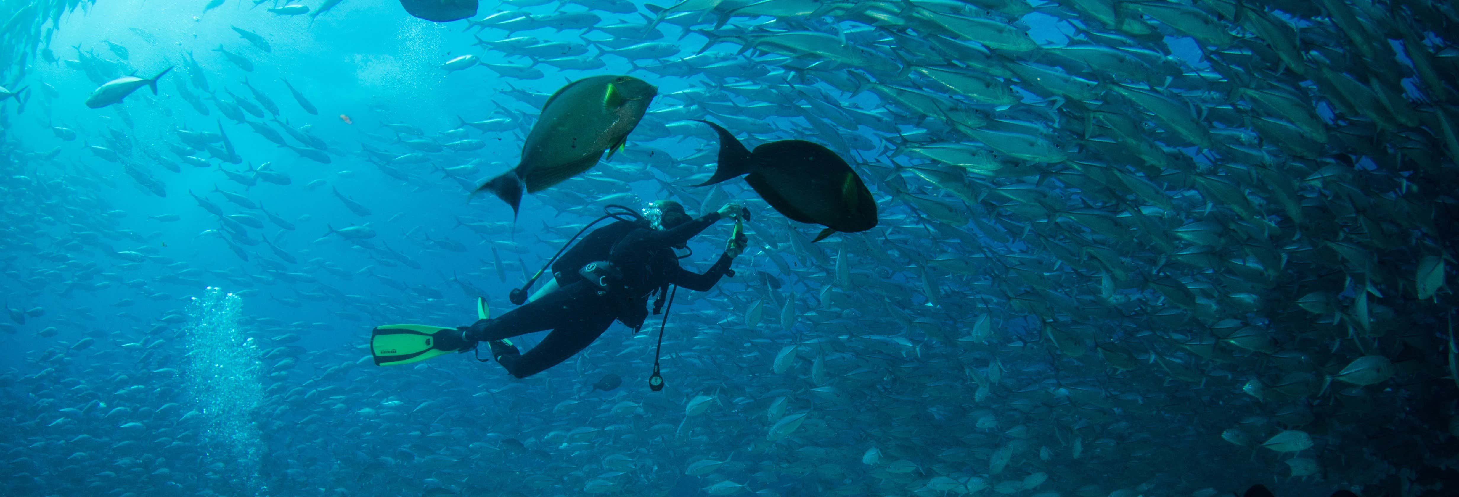 Las Negras Beginners Scuba Diving Lesson