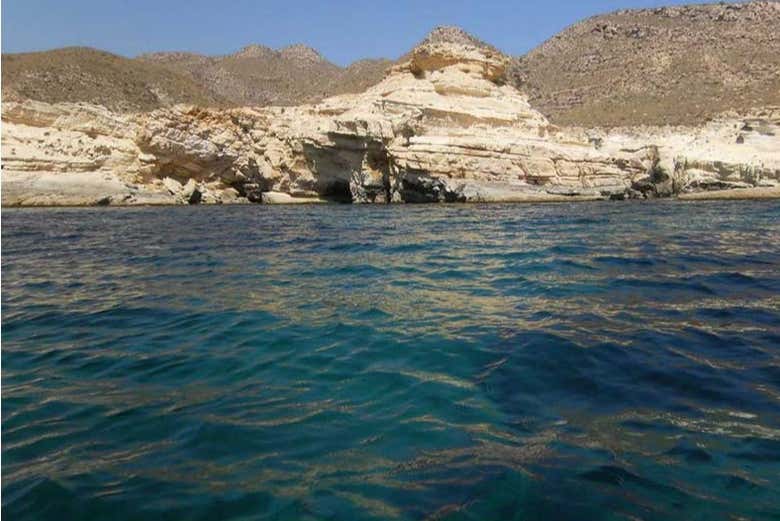Imagen 8