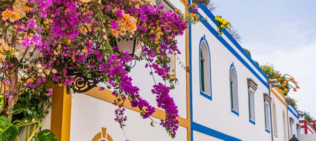 Escursione a Maspalomas, Mogán e alla gola di Guayadeque