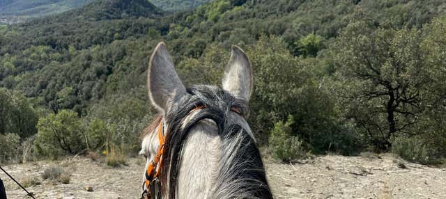 Passeggiata a cavallo alla Garrotxa