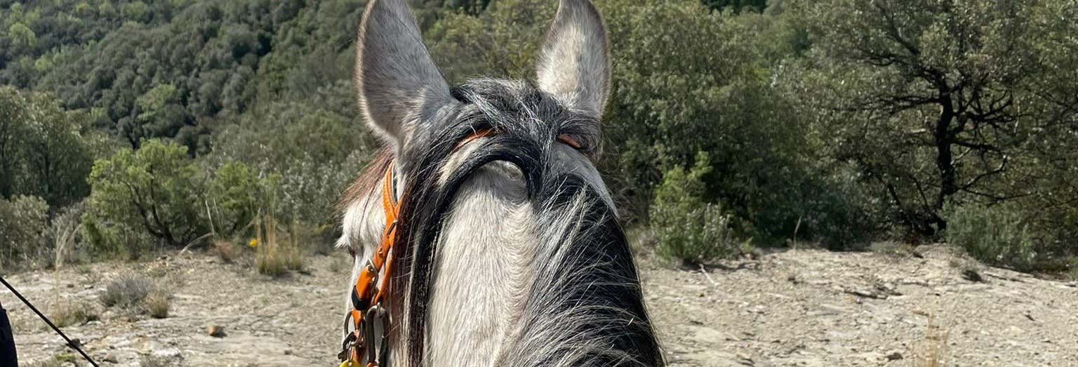 Passeggiata a cavallo alla Garrotxa
