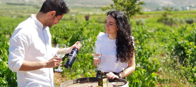 Visita al Cortijo El Cura + Degustazione di vino