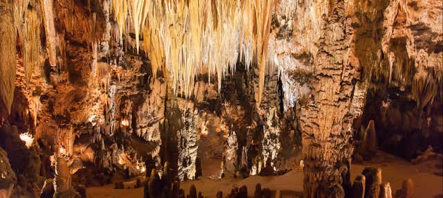 Excursion à la grotte de Valporquero