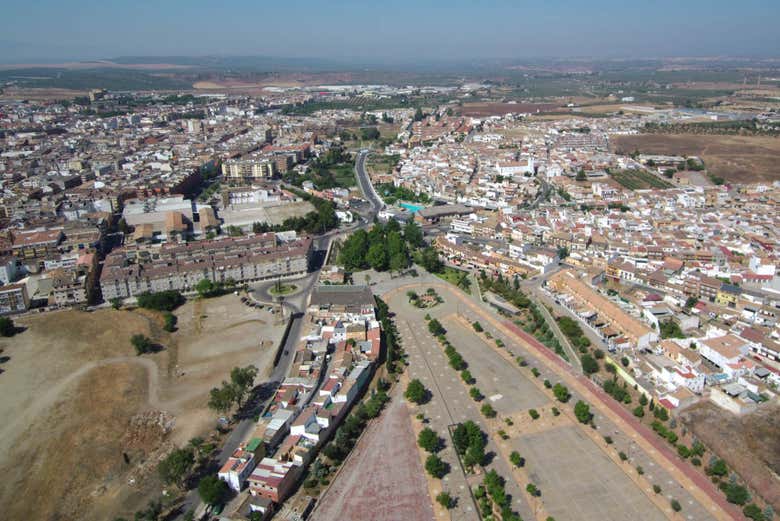 Imagen 4