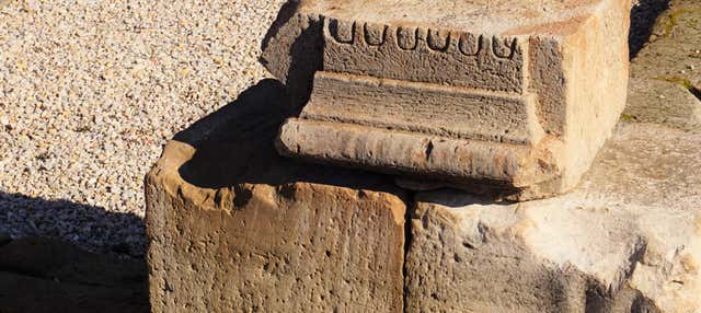 Visita guidata del sito archeologico di Cástulo