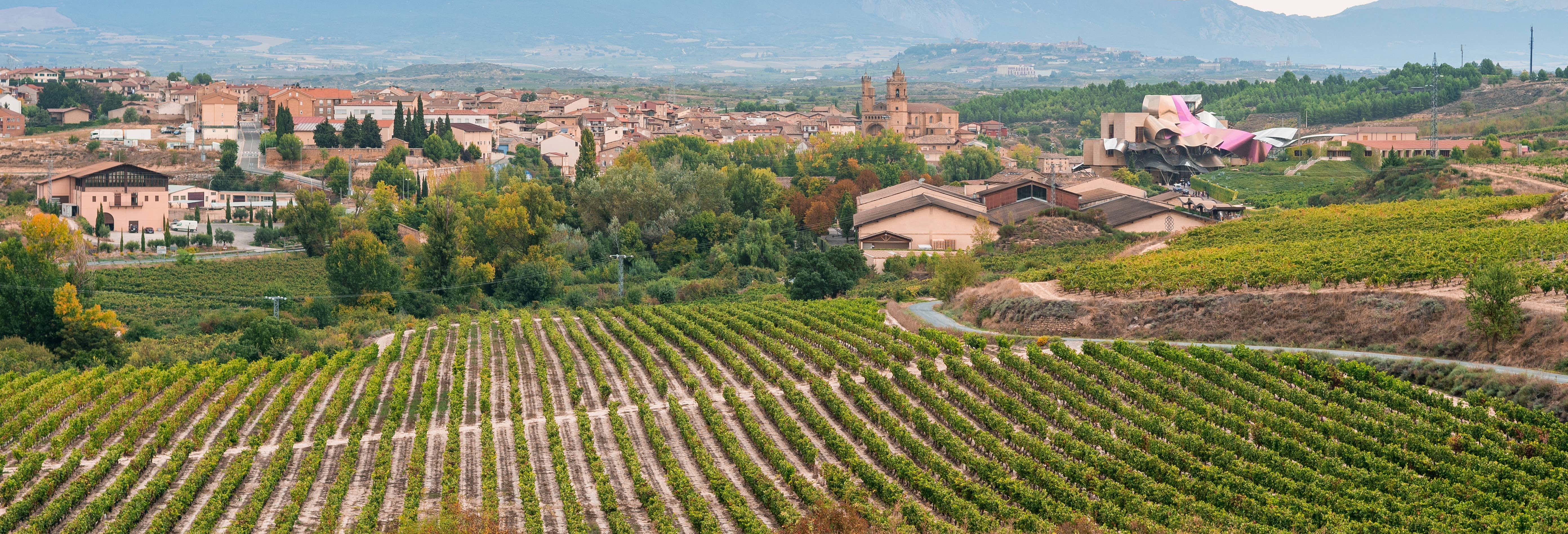 Escursione privata da Logroño