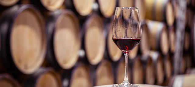 Visita alla cantina Bodegas Franco-Españolas