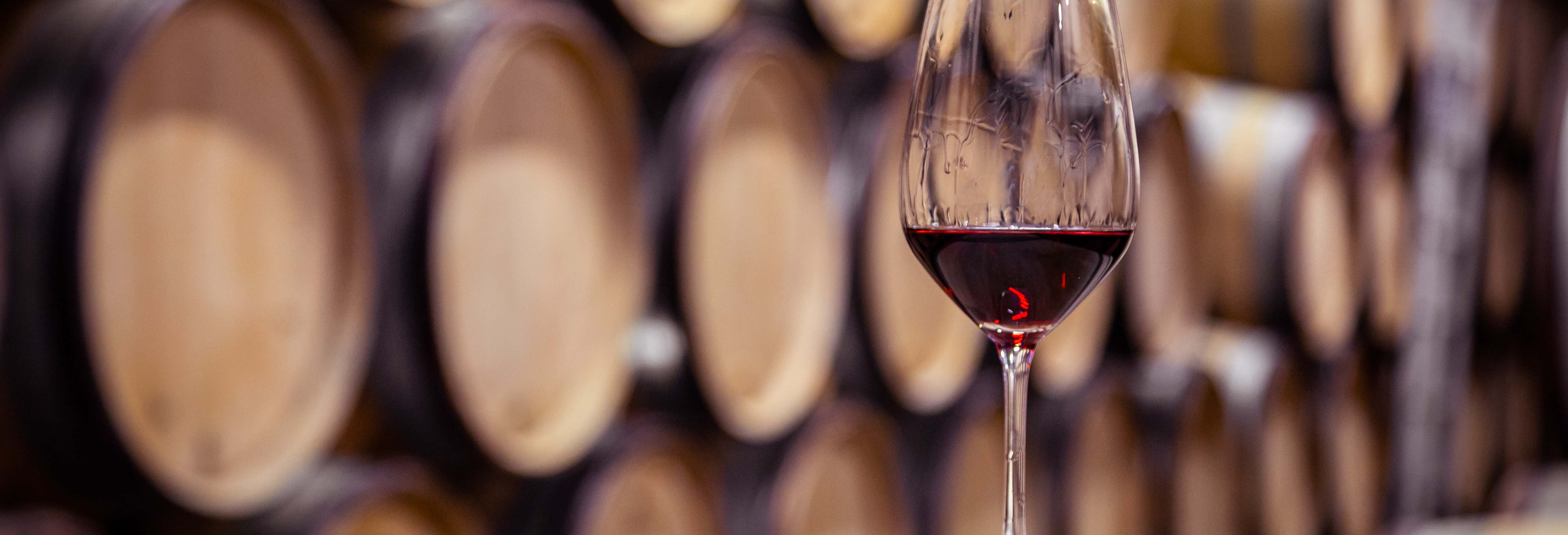 Visita alla cantina Bodegas Franco-Españolas