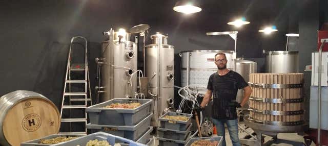 Visita alla cantina Hoplita