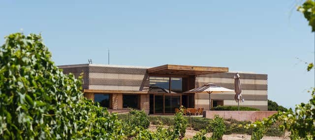 Visita alla cantina Bodegas Campo Viejo