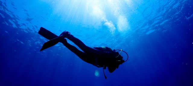 Corso PADI Scuba Diver a Los Abrigos