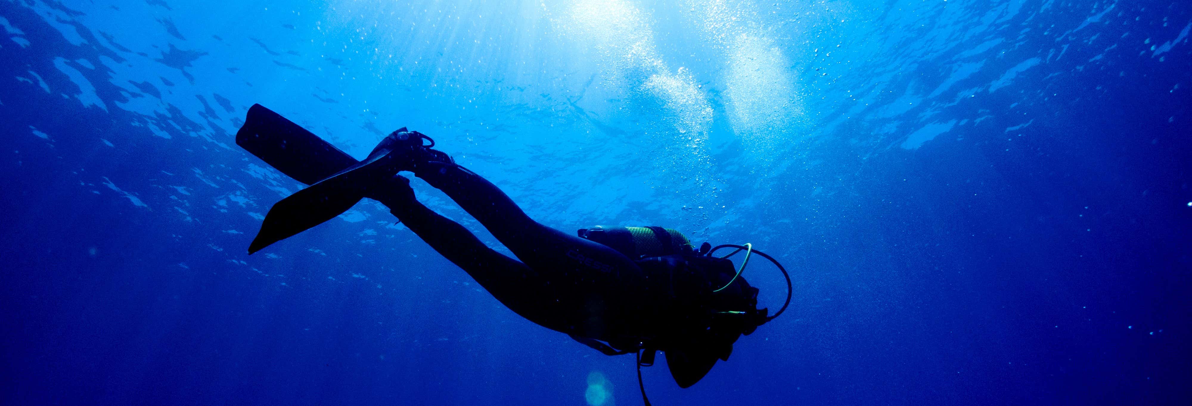 Tenerife Scuba Diving Course