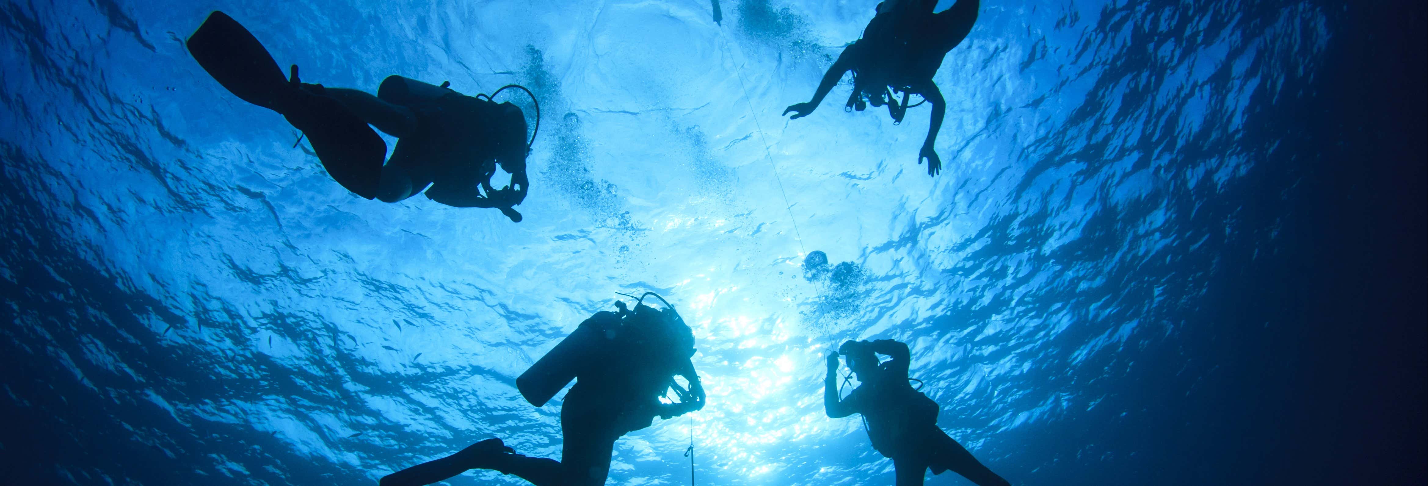 Los Cristianos Beginners Scuba Diving Lesson