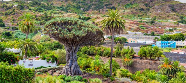 Escursione al Teide, Icod, Masca e Garachico dal sud di Tenerife