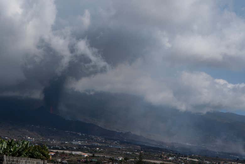 Imagen 6