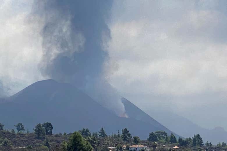 Imagen 3