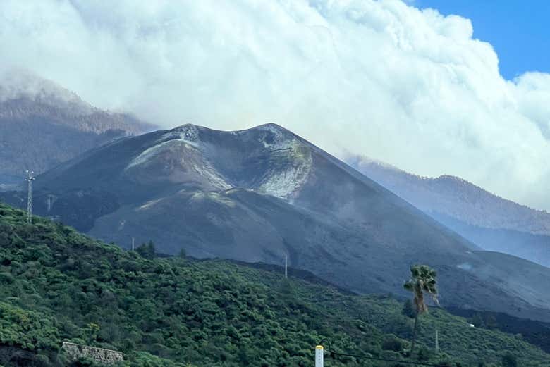 Imagen 11