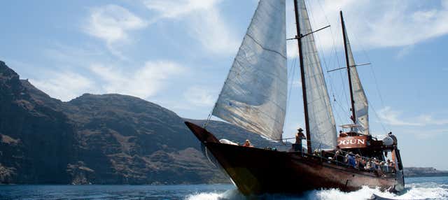 Giro in goletta con avvistamento di cetacei + Pranzo