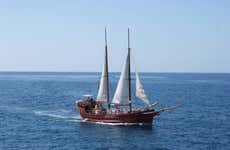 Schooner Whale Watching Cruise