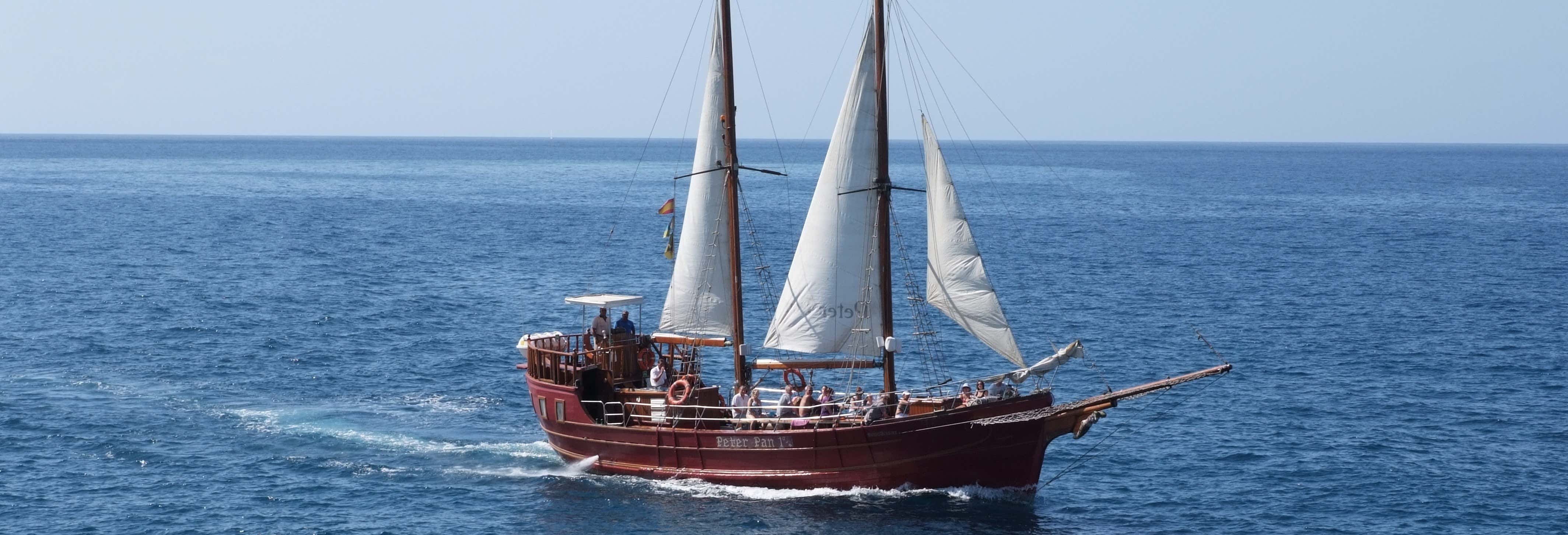 Schooner Whale Watching Cruise