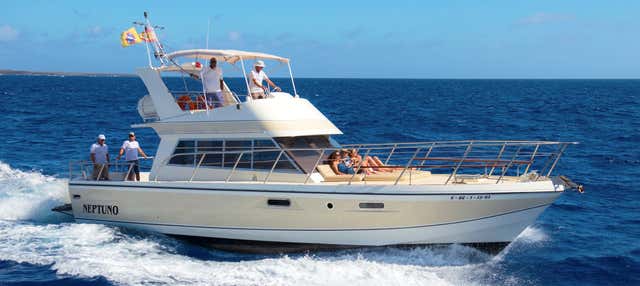 Giro in barca con avvistamento di delfini e balene