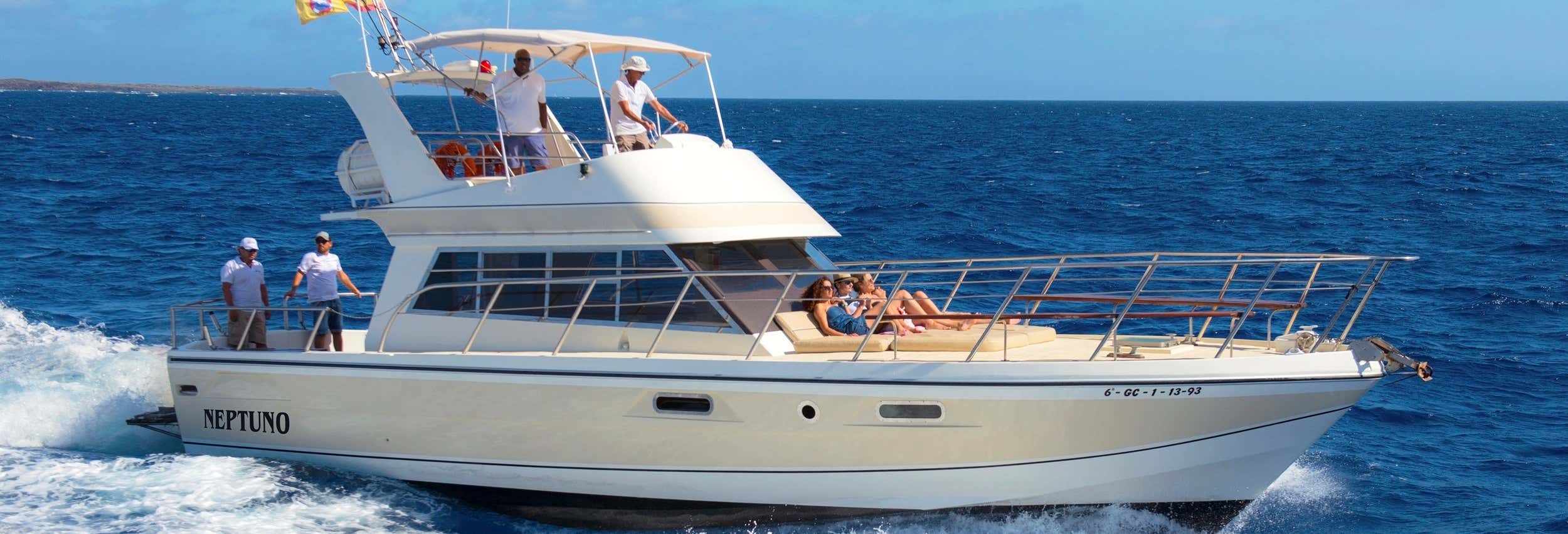 Giro in barca con avvistamento di delfini e balene