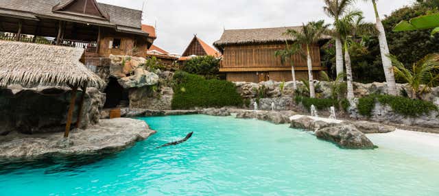 Escursione a Siam Park con biglietti dal sud di Tenerife