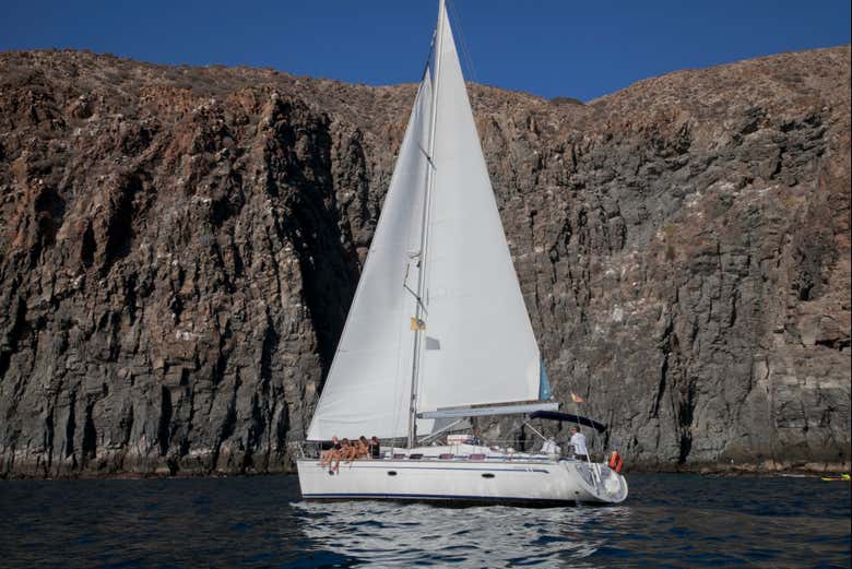 Cruise around Los Gigantes