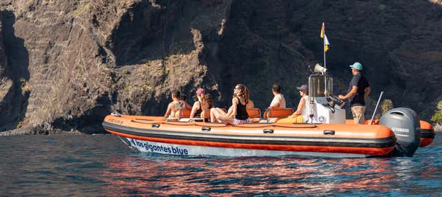 Paseo en barco por Los Gigantes y Punta de Teno en grupo reducido