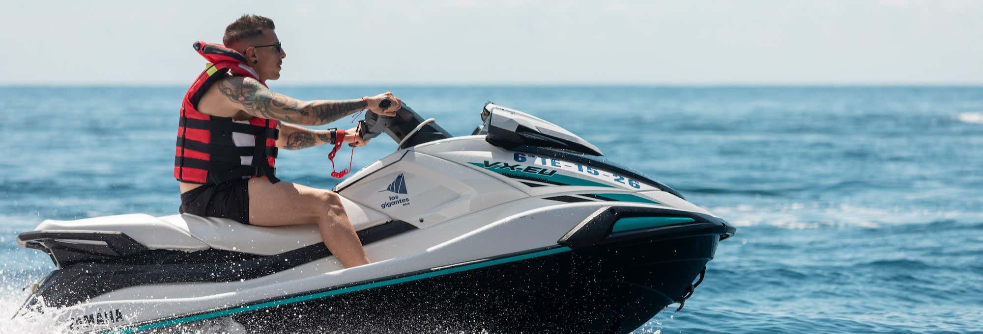 Tour en moto de agua por Los Gigantes