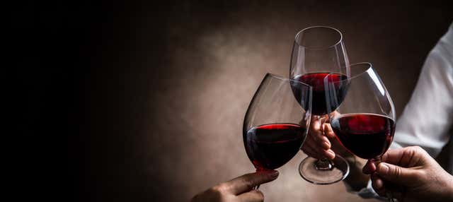 Visita alla cantina Finca Antigua