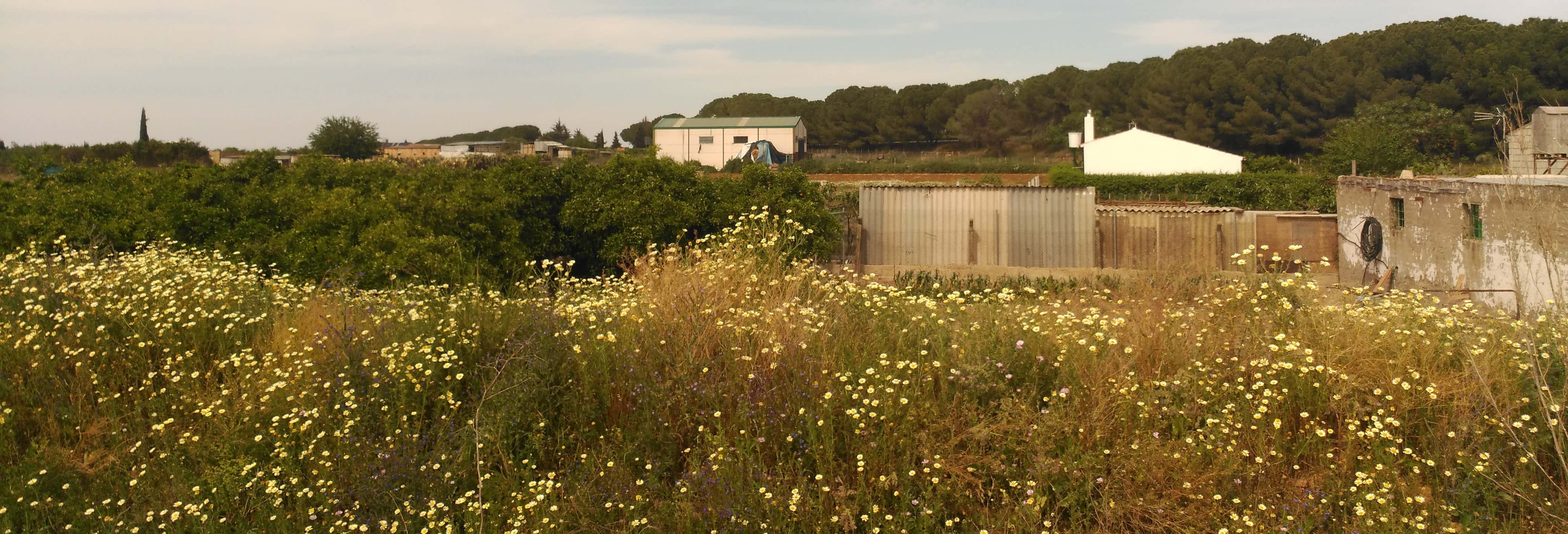 Los Palacios y Villafranca