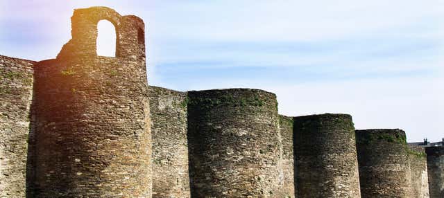 Tour privato di Lugo