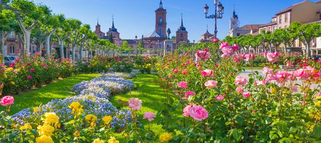 Excursión a Alcalá de Henares