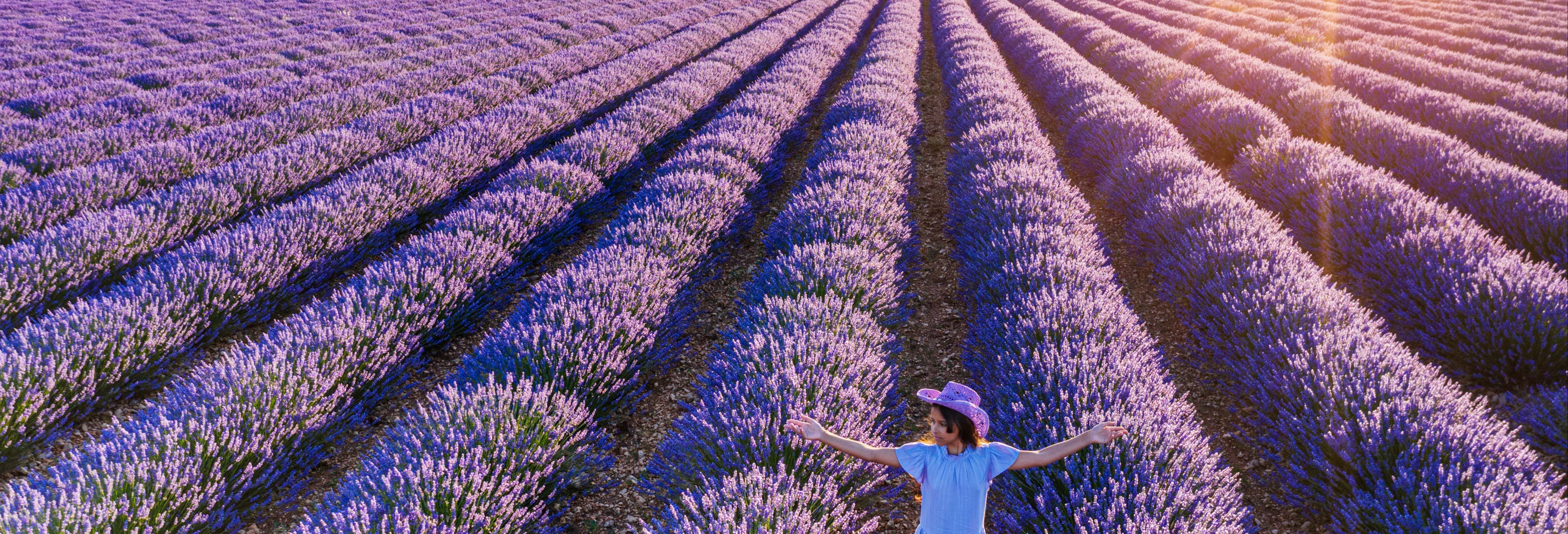 Escursione ai campi di lavanda di Brihuega
