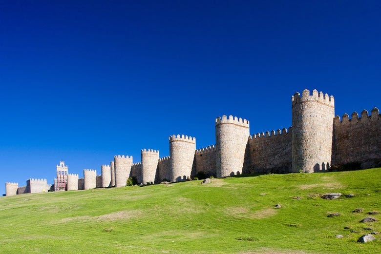 Excursión a Ávila y Segovia