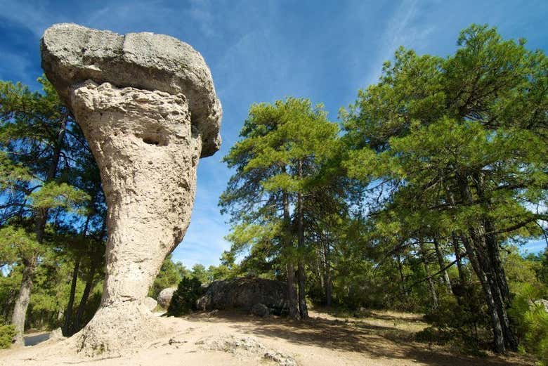 Imagen 3