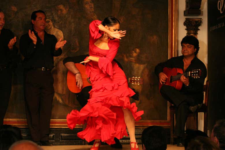 Imagen 6